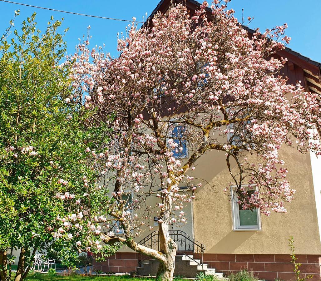 Liebevoll Gaestewohnungen Alpirsbach Exteriör bild